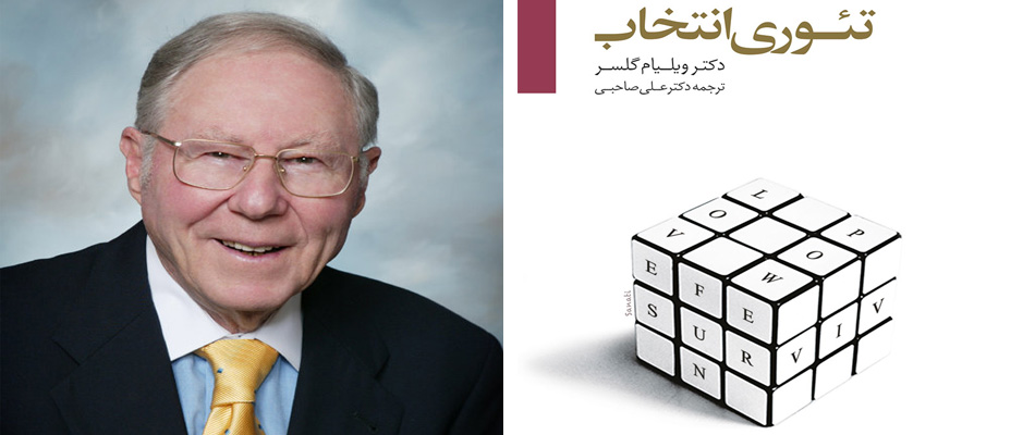 دنیای مطلوب از دیدگاه تئوری انتخاب